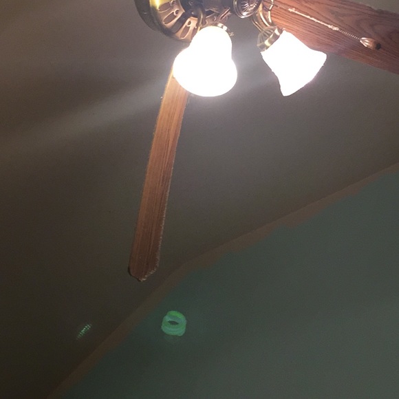 Meet your Posher, Celest - Picture 1 of 1